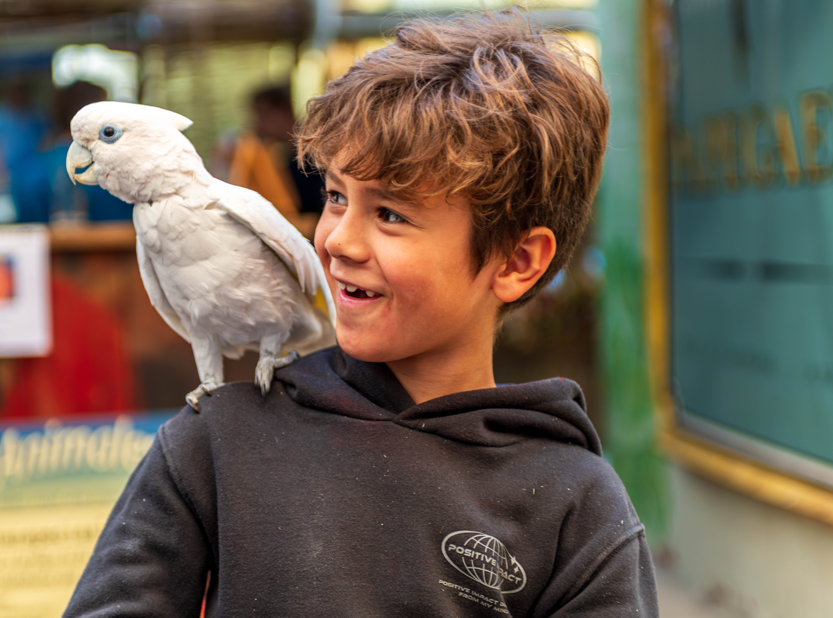 Hechting, grenzen & kindproof samenleven