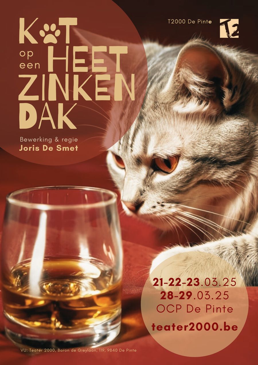 Kat op een heet zinken dak | T2000