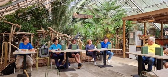 De essentials van papegaaienzorg