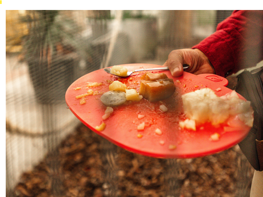 Kleurrijke keuken: recepten & voedingstransities